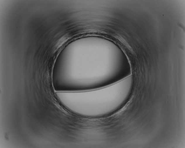 X0000097780969200803070910