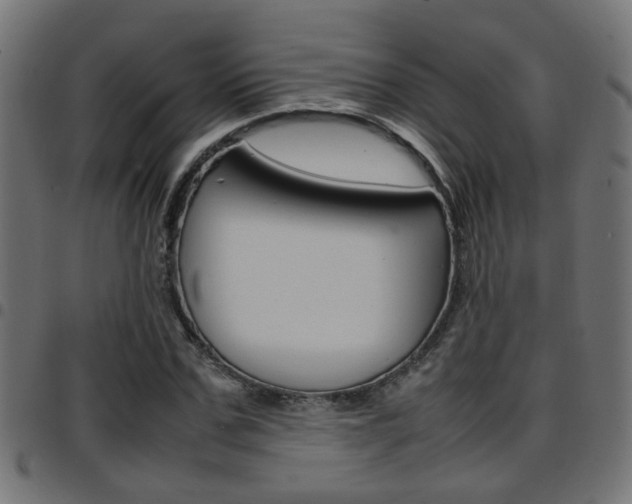 X0000097780971200803070910