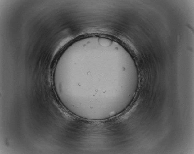 X0000097780974200803070910