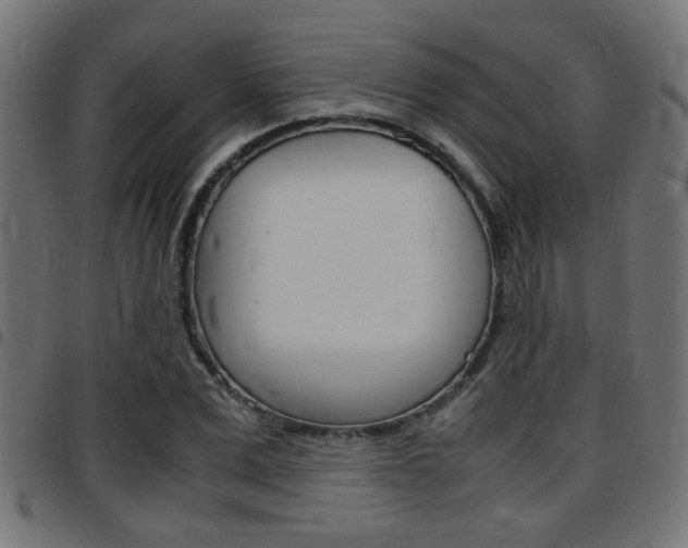 X0000097780975200803070910