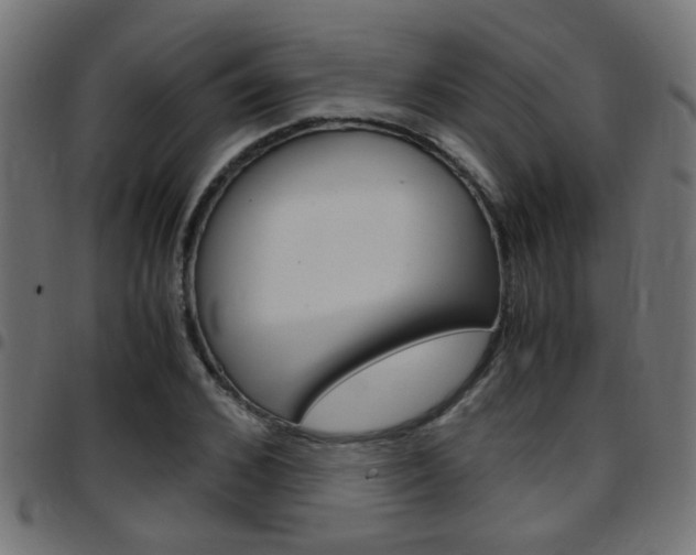 X0000097780976200803070910