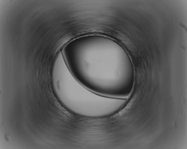 X0000097780977200803070909