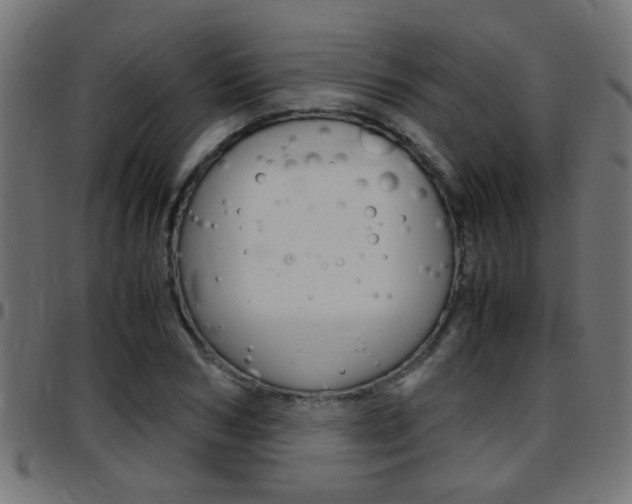 X0000097780978200803070909