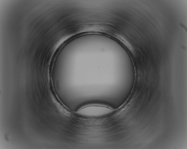 X0000097780980200803070909