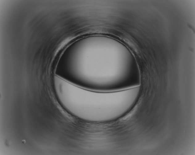 X0000097780981200803070909