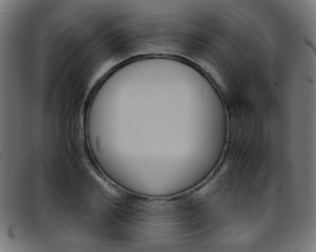 X0000097780982200803070909