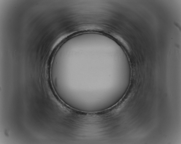 X0000097780983200803070909