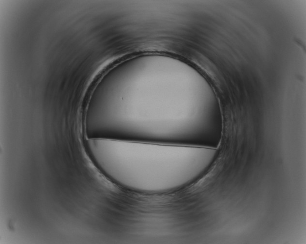 X0000097780984200803070909