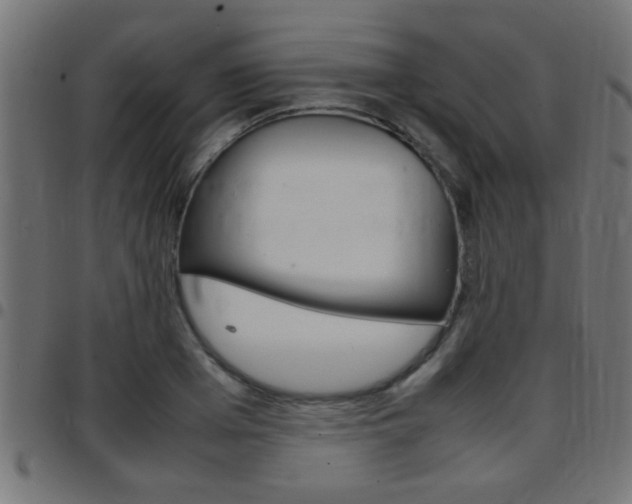 X0000097780985200803070909
