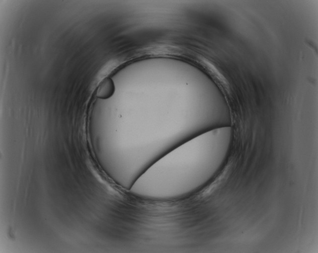 X0000097780986200803070909