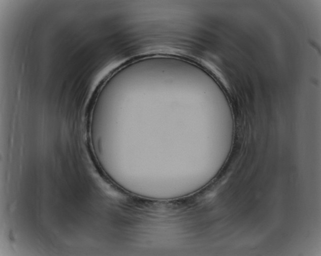 X0000097780987200803070909