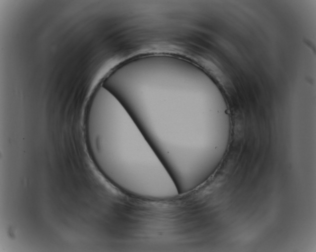X0000097780990200803070909