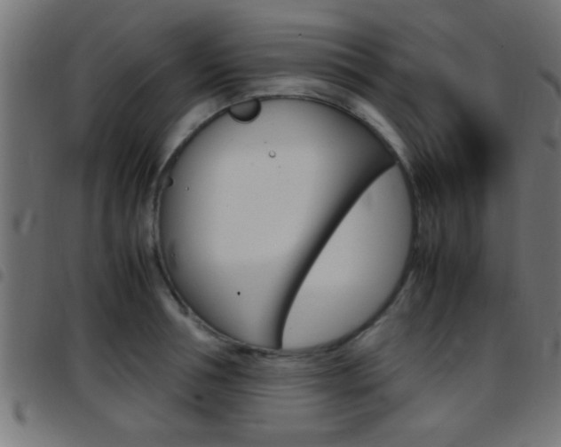 X0000097780994200803070909