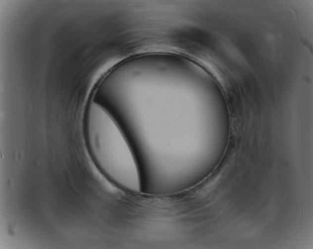 X0000097780995200803070909