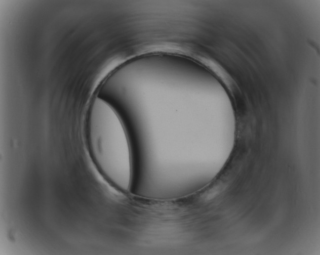 X0000097780999200803070909