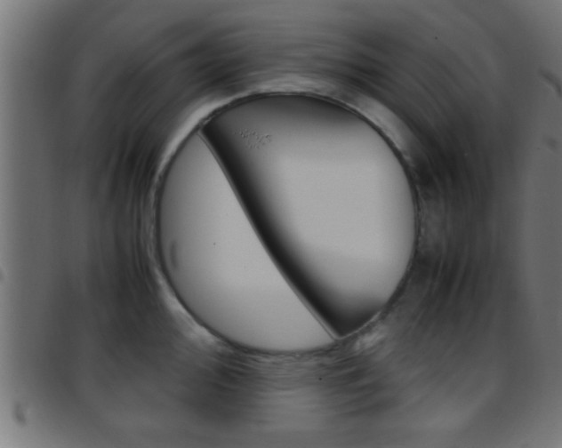 X0000097781000200803070909