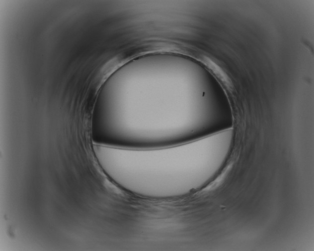 X0000097781001200803070909