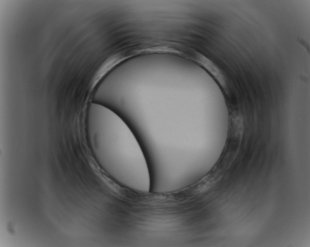 X0000097781002200803070909