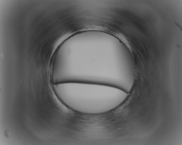 X0000097781003200803070909