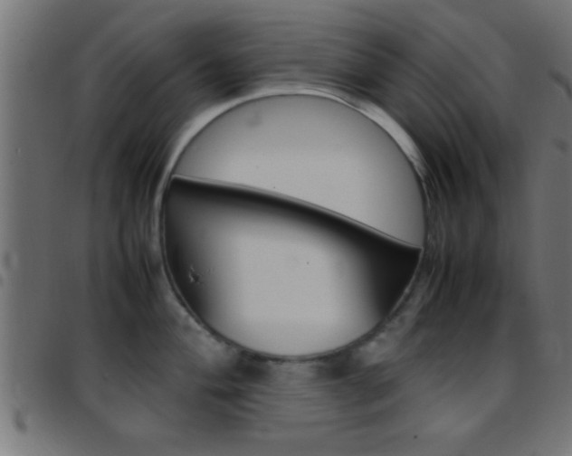 X0000097781004200803070909