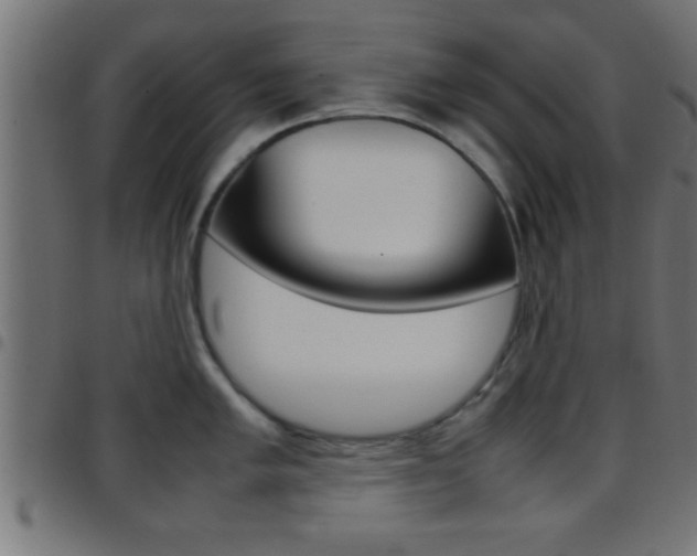 X0000097781005200803070909