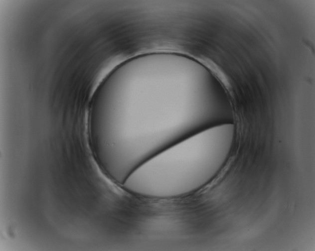 X0000097781006200803070909