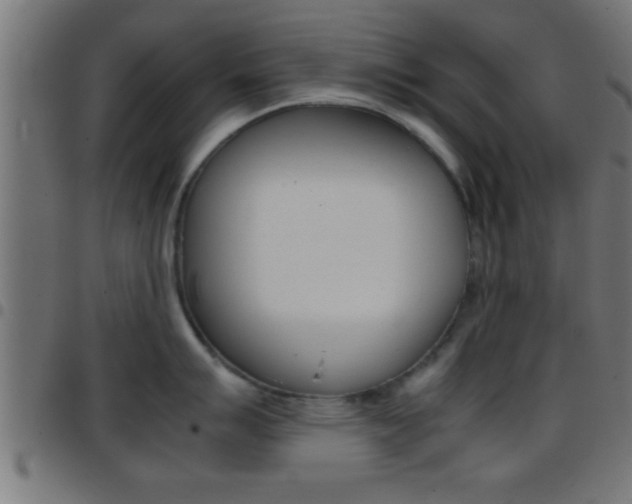 X0000097781007200803070909