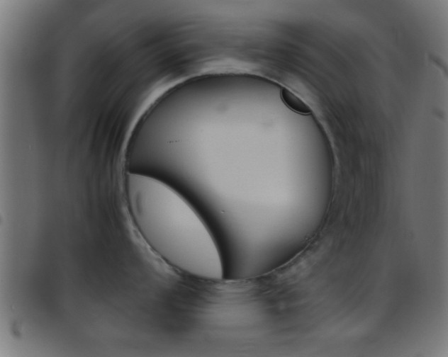 X0000097781008200803070909