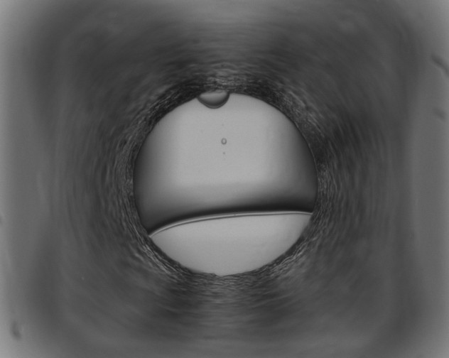 X0000097781009200803070908