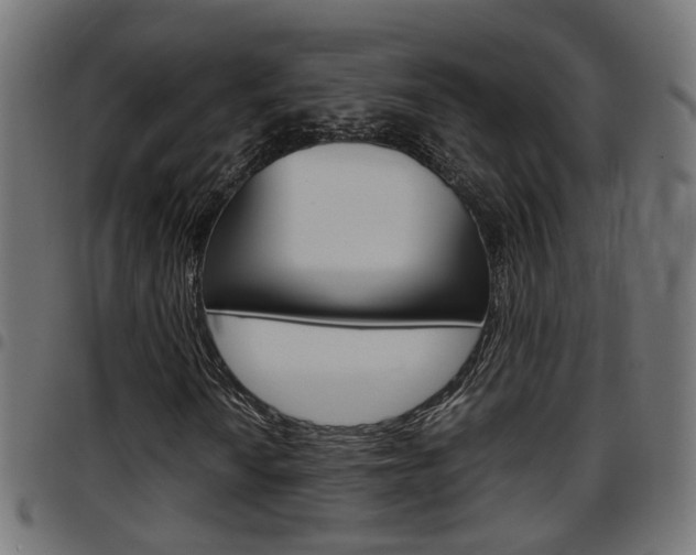 X0000097781010200803070908