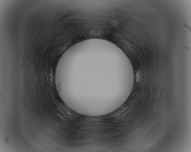 X0000097781011200803070908