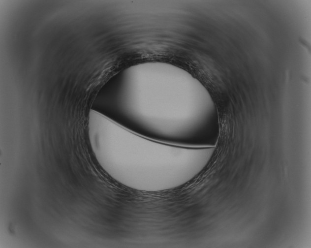 X0000097781012200803070908