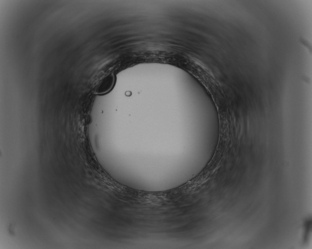 X0000097781013200803070908