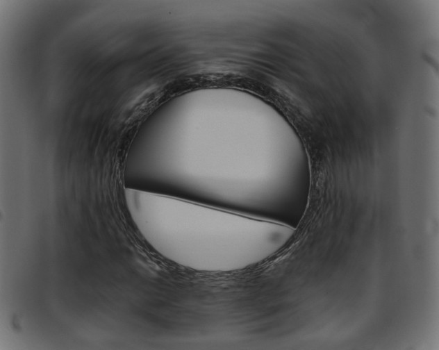 X0000097781014200803070908
