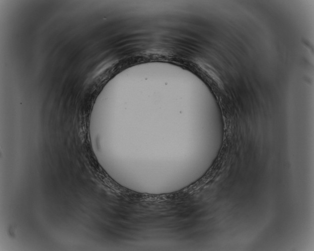 X0000097781015200803070908