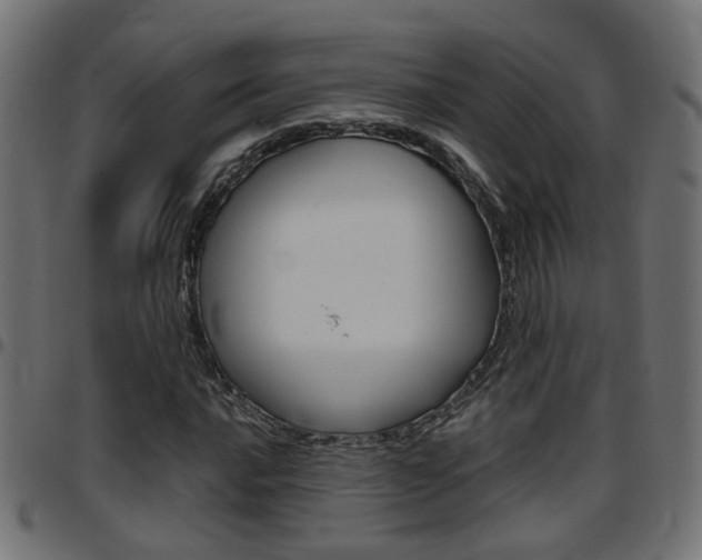X0000097781016200803070908