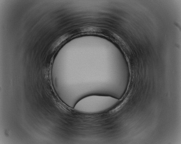 X0000097781017200803070909