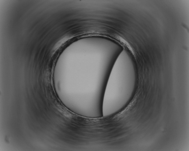 X0000097781019200803070909