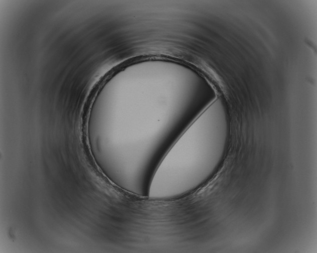 X0000097781020200803070909