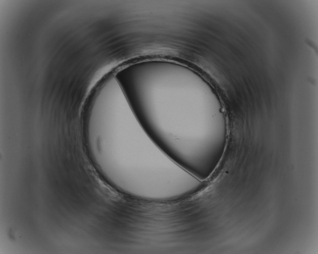 X0000097781022200803070909