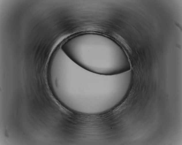 X0000097781024200803070909
