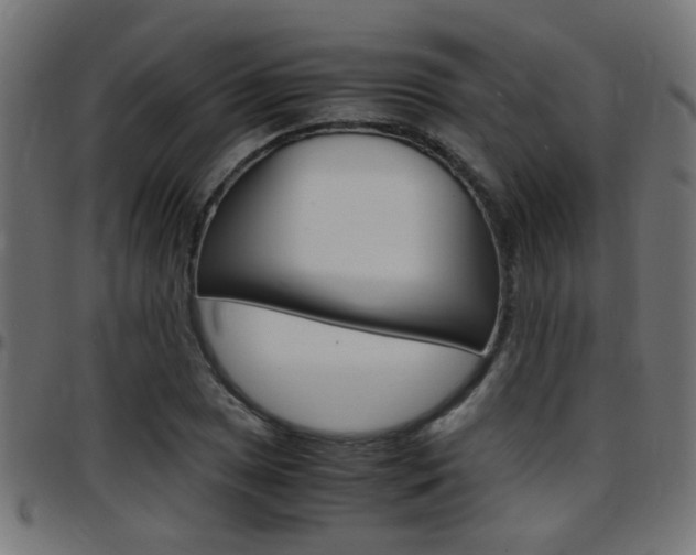X0000097781025200803070909