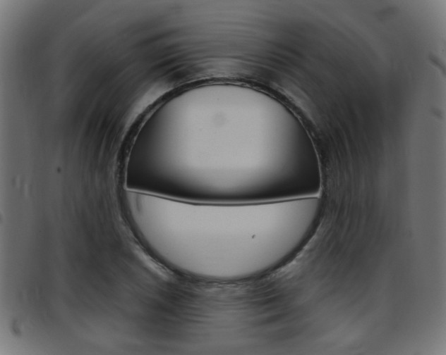 X0000097781026200803070909