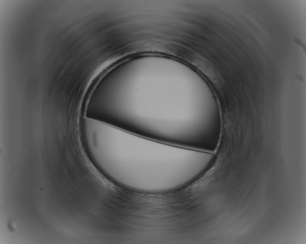 X0000097781028200803070909