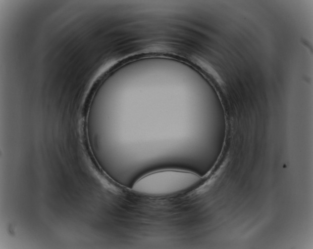 X0000097781029200803070909