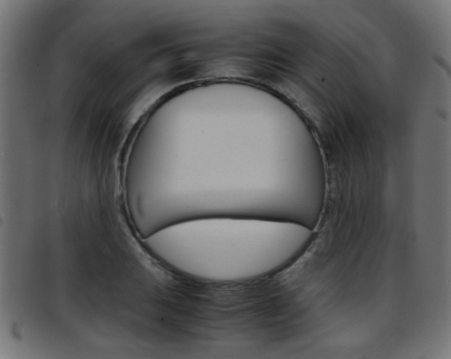 X0000097781031200803070909
