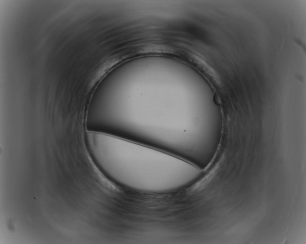 X0000097781033200803070909