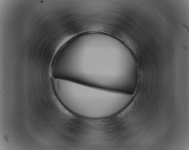 X0000097781036200803070909