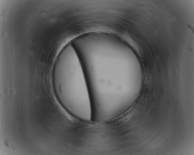 X0000097781040200803070909
