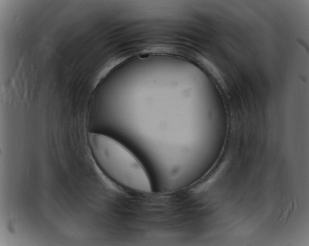 X0000097781041200803070909